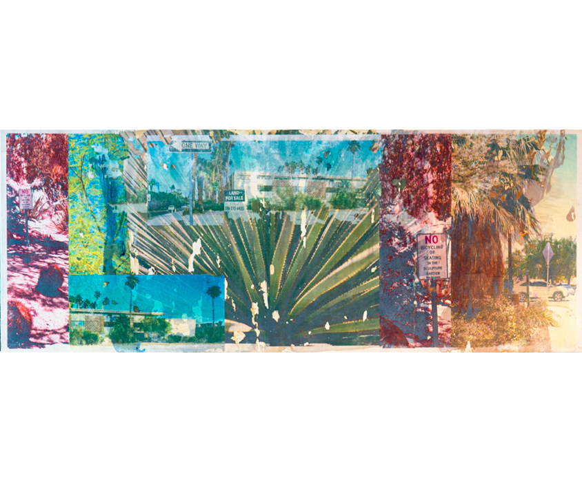 artwork mixed media collage palm springs desert plants desert city california image